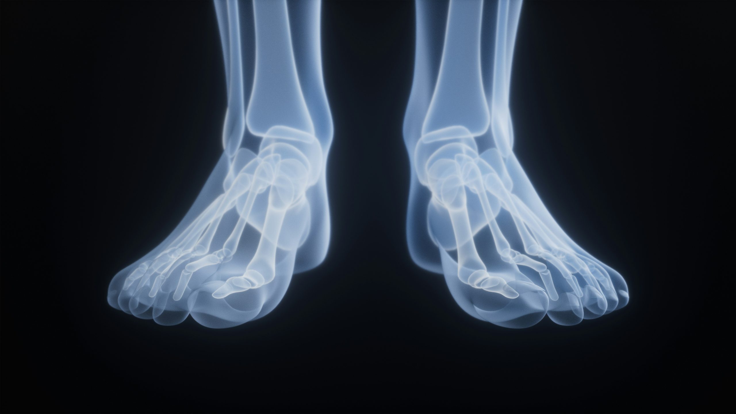 Foot bones and anatomy — toe joints, metatarsals, and intrinsic foot structures treated at Life in Motion Chiropractic Livonia MI
