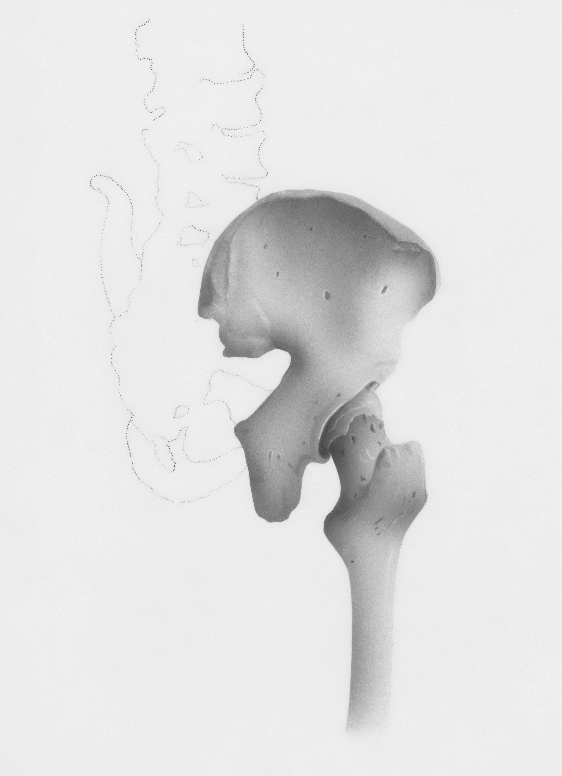 Hip and pelvis anatomy diagram showing the sacroiliac joint location — Life in Motion Chiropractic Livonia MI